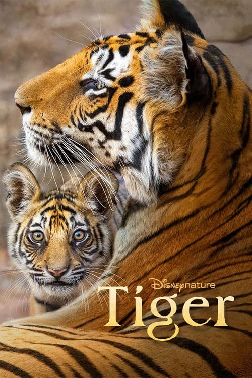 tiger-(2024)